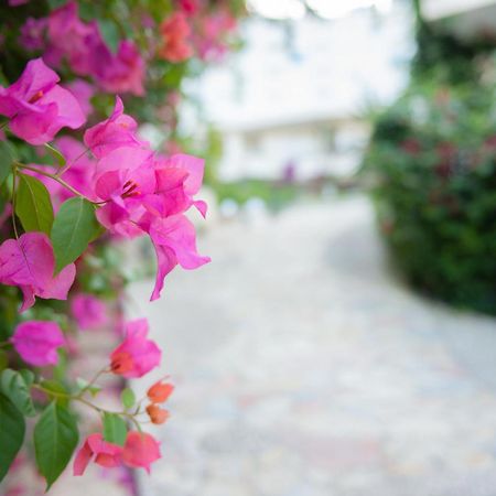Bougainville Bay Apartments Саранде Екстериор снимка