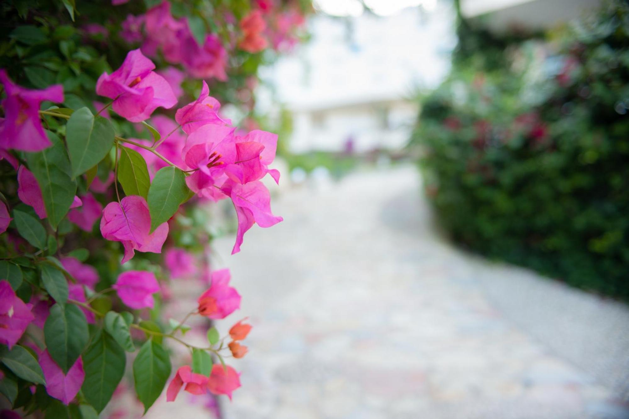Bougainville Bay Apartments Саранде Екстериор снимка